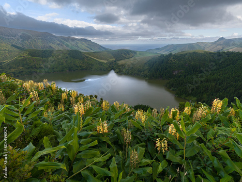 Lagoa Comprida with yellow ginger lilies in the foreground, Flores Island, Azores islands, Portugal, Atlantic, Europe photo