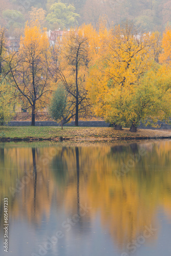 Reflections of colorful trees on Shooters Island (Strelecky ostrov) on Vltava River in autumn, Prague, Czech Republic (Czechia), Europe photo