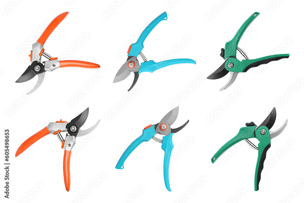 Collage with different color secateurs on white background. Gardening tool