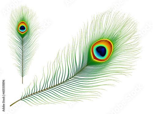 Peacock feather. Exotic tropical bird realistic vector colorful green feather with eye iridescent pattern. Peafowl tail or phoenix magic bird isolated plumage, elegant decoration element