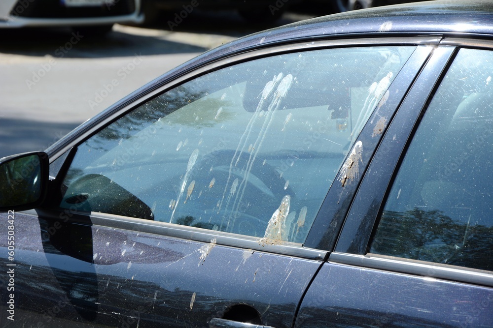 The car is dirty with birds The car is dirty with birds