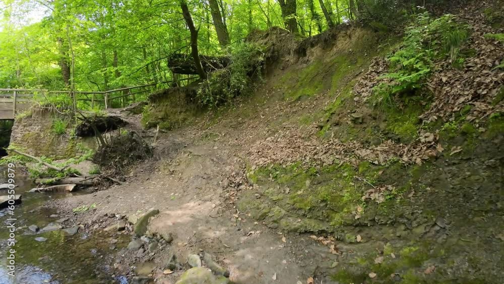 FPV following peaceful woodland forest stream towards scenic wooden bridge FPV following peaceful woodland forest stream towards scenic wooden bridge