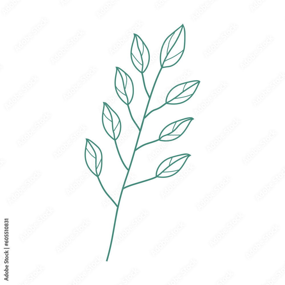 Fototapeta premium Leaf Line Art