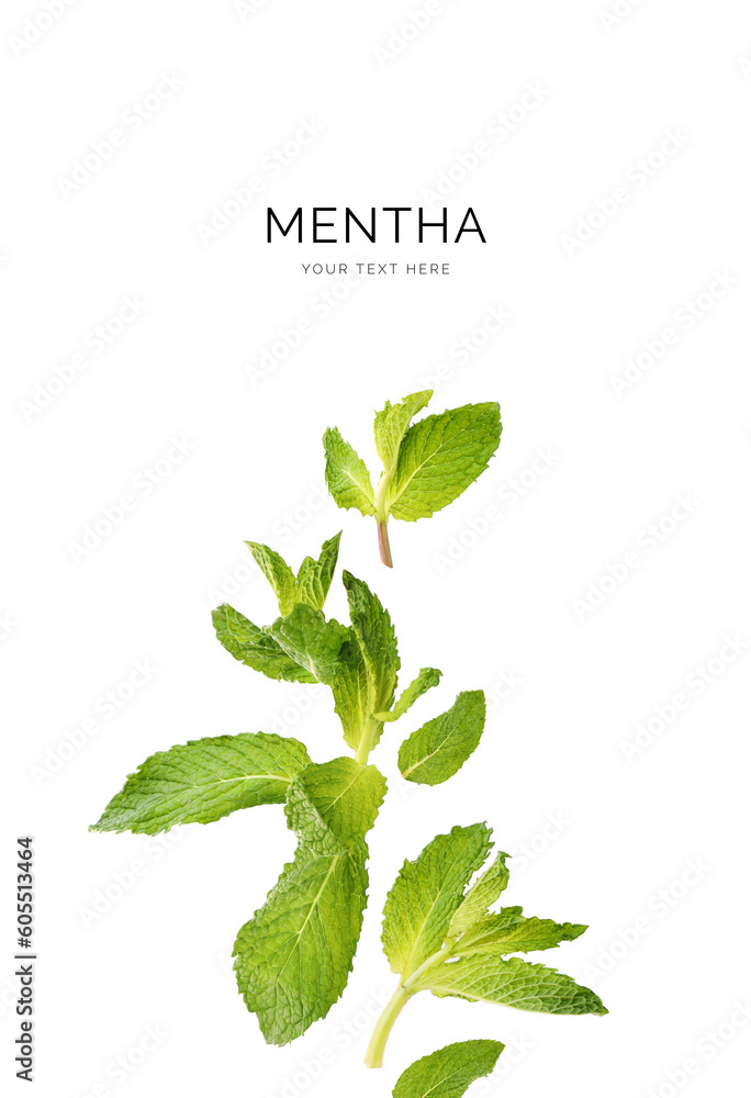 Creative layout made of mint on white background. Flat lay. Food concept. Macro concept. Creative layout made of mint on white background. Flat lay. Food concept. Macro concept.