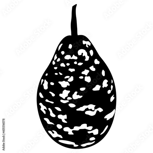 Bottle Gourd Speckled Bottle. Lagenaria siceraria. Calabash Opo squash. Black and white silhouette.