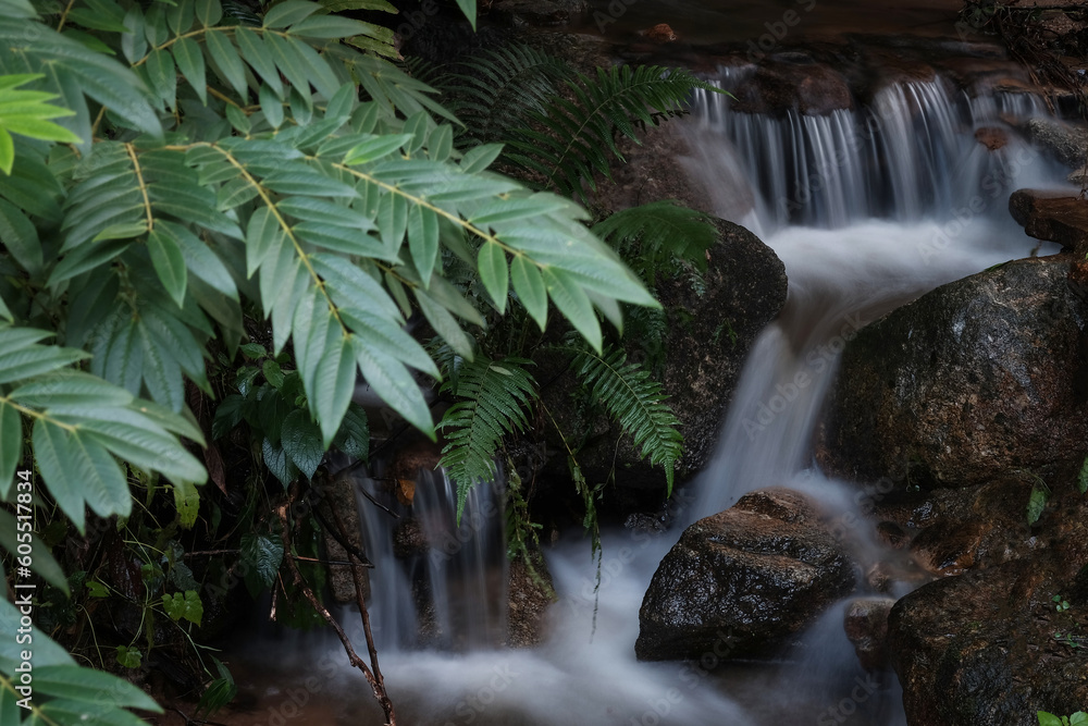 Scenic cascading stream at the foot of the waterfall natural beauty. Scenic cascading stream at the foot of the waterfall natural beauty.