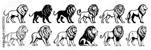 Lion silhouettes set  large pack of vector silhouette design  isolated white background