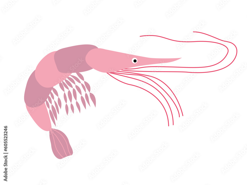 Vector pink shrimp flat illustration Vector pink shrimp flat illustration