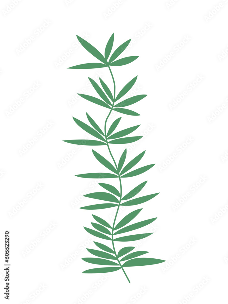 Obraz premium Vector marine algae flat illustration. Green seaweed vector clipart
