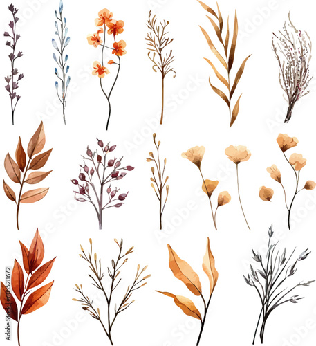 Set of dried floral watecolor. dry flower, dry leaves. Floral poster, invitation floral. Vector arrangements for greeting card or invitation design	
