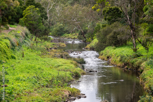 A calm tranquil scene of Merri Creek flowing through the suburbs of Melbourne, Australia photo