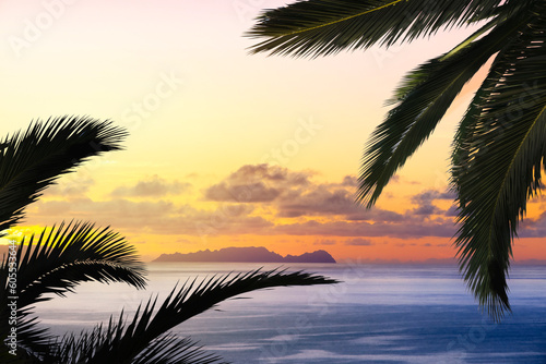 Palms tree silhouette on backdrop of colorful sunset. Summer time and mood. Beautiful vibrant evening.