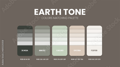 Color palette in Earth Tone colour theme collections. Color inspiration or color chart with codes template. Color combination set of RGB. Colors swatch for graphic design, art, fashion and web design. photo