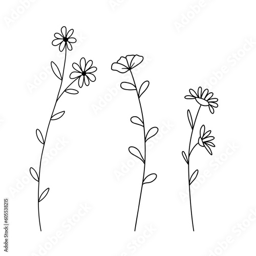 Fototapeta Naklejka Na Ścianę i Meble -  Hand drawn wildflowers set. Vector outline flower sketch. Line art doodle isolated on white
