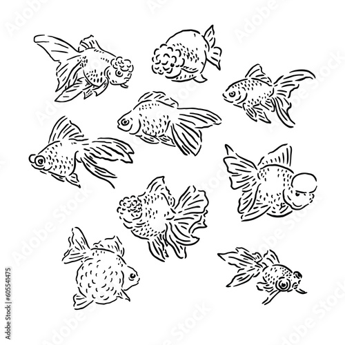 illustration of a goldfish with various shapes