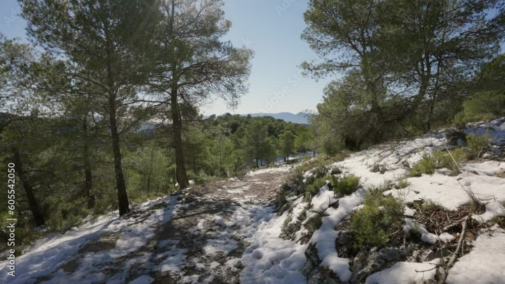 Snow-covered pine forest with sunshine in Sierra Mariola, Alicante, Spain, Mediterranean Snow-covered pine forest with sunshine in Sierra Mariola, Alicante, Spain, Mediterranean