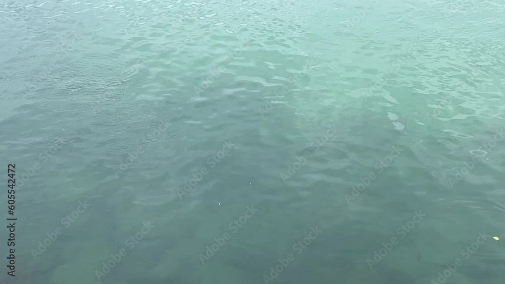 Shimmering green ocean moving with the tides Shimmering green ocean moving with the tides