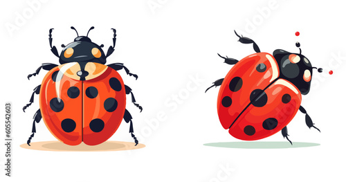lady bug vector in different style set graphic