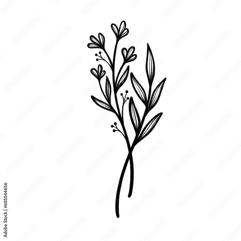Fototapeta premium Hand-Drawn Botanical and Floral Designs