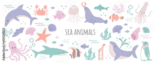 海の生き物のアイコンイラスト　セット