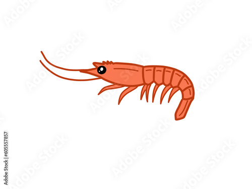 Cartoon painting. Orange shrimp. It is an aquatic animal in nature.on a white background.