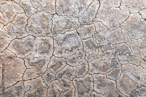 Dirty old cracked floor texture background. Rough and grunge texture background. 
