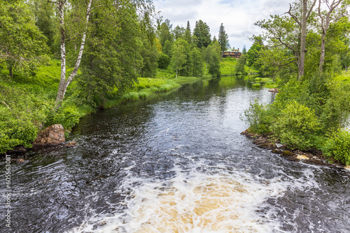 River valley with lush green trees in the summer photo