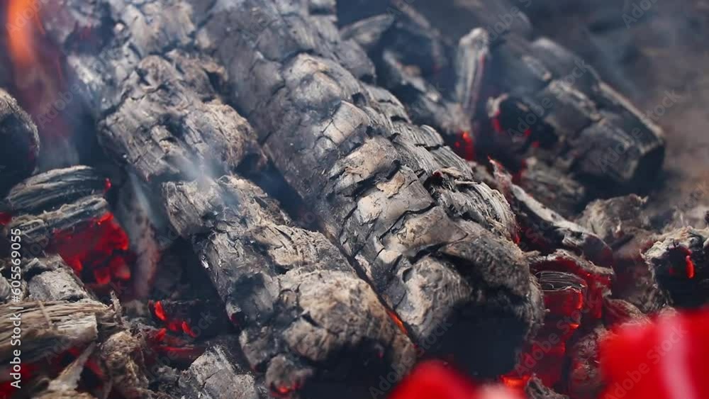 Campfire flame in nature close up, fire at night Campfire flame in nature close up, fire at night