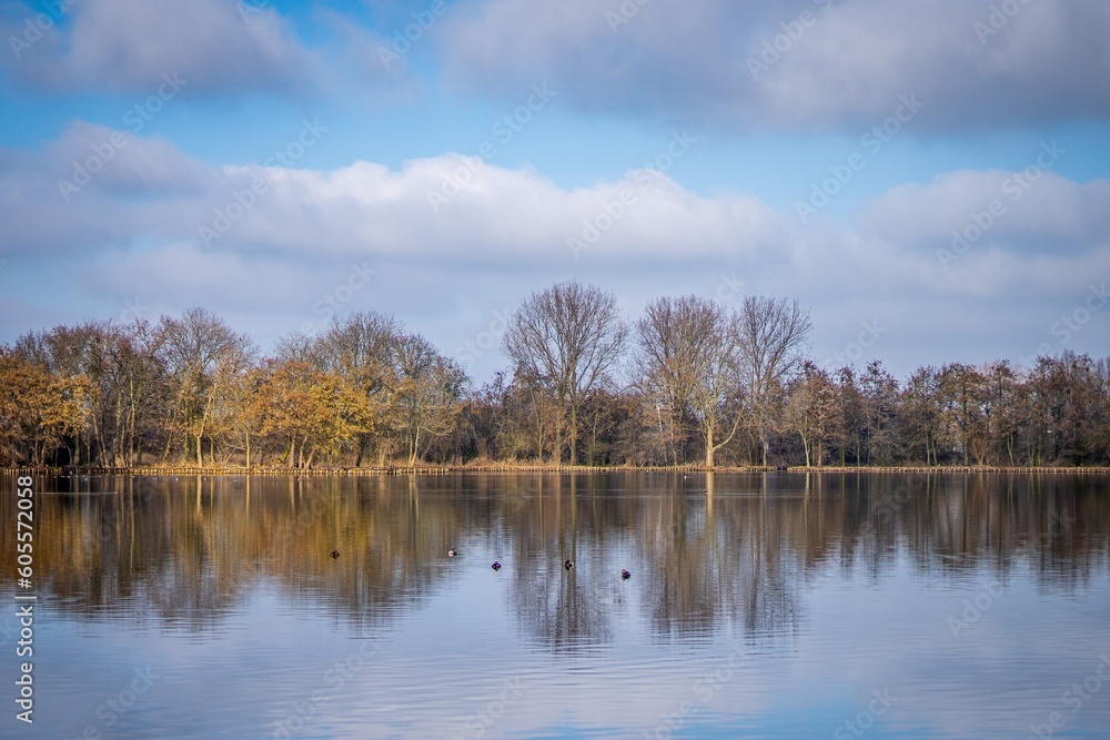 Autumn landscape with lake, trees and blue sky with clouds.