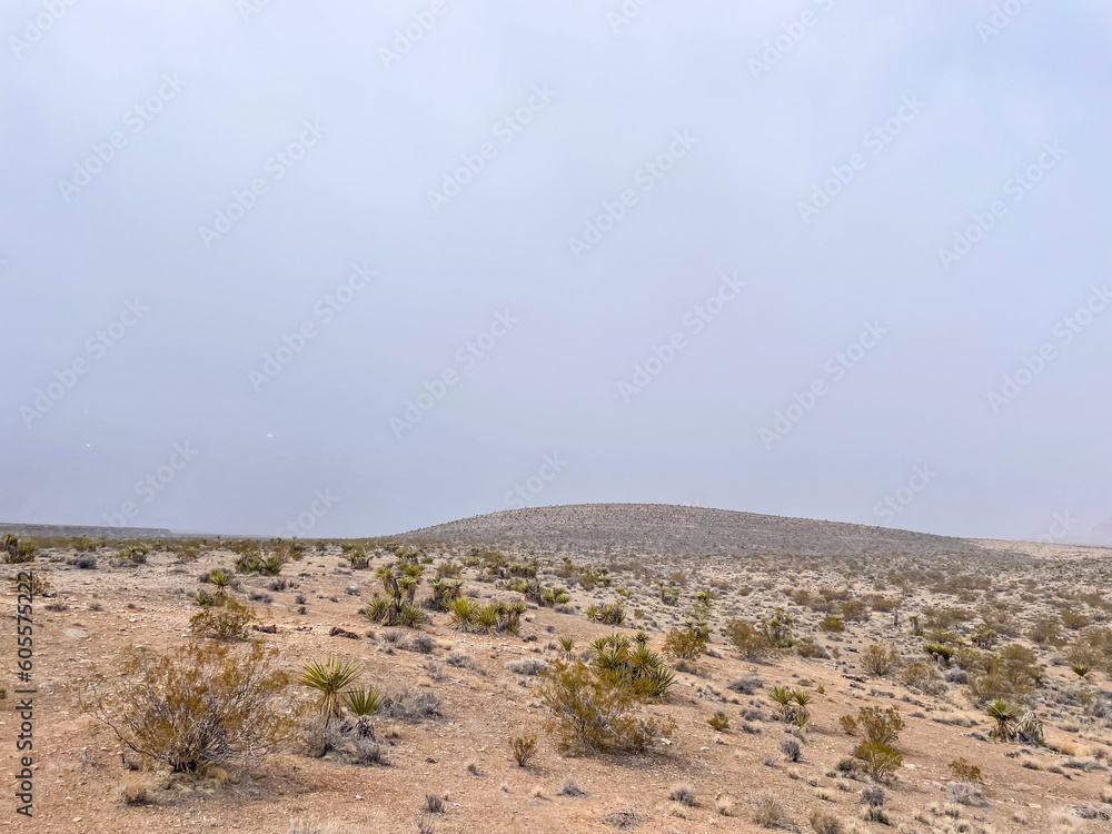 Red Rock Canyon National Conservation Area