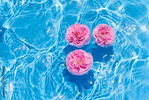 水面に浮かぶバラの花 photo