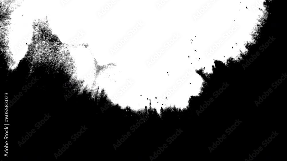 ink splatter splat blot splash stain of white paint abstract animation of brush strokes transparent background ink splatter splat blot splash stain of white paint abstract animation of brush strokes transparent background