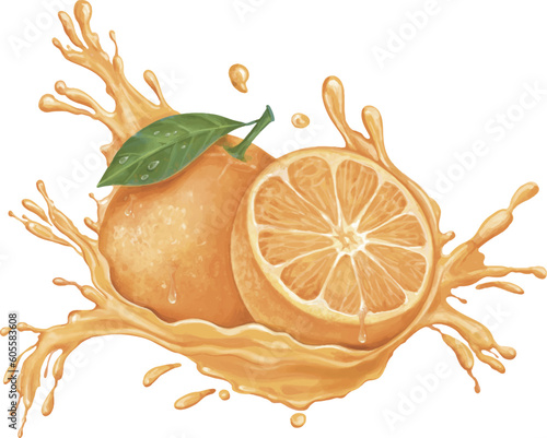 Hand-drawn of  half and full oranges with orange flowers and leaves.
