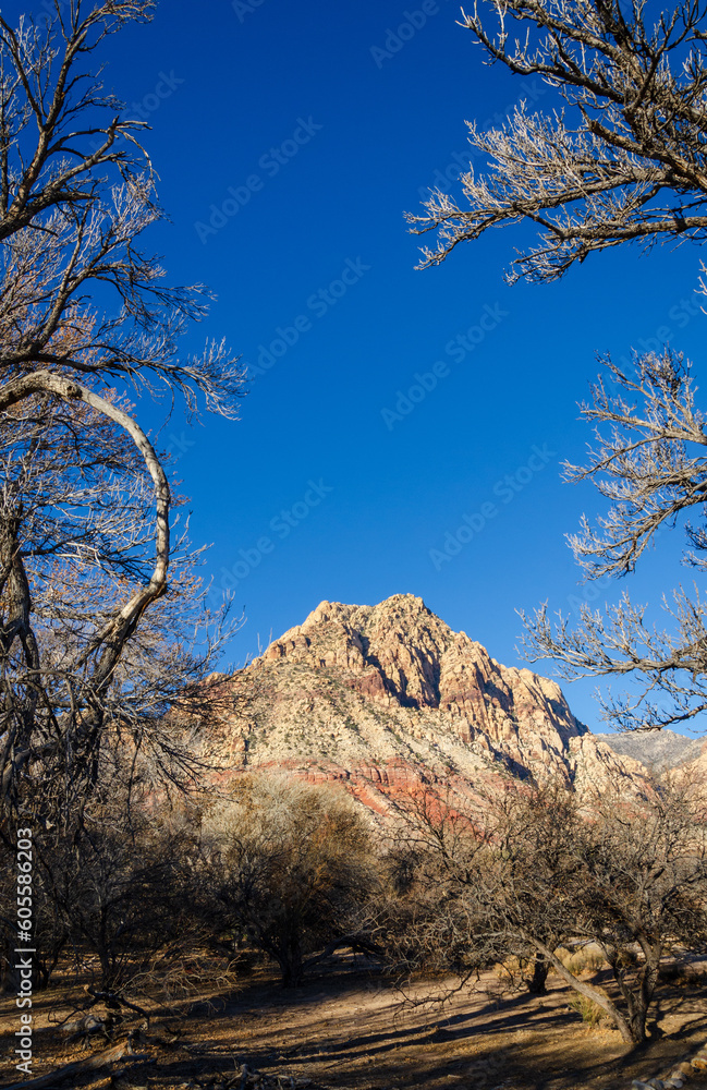Mountain Peaks at Spring Mountain Ranch State Park Mountain Peaks at Spring Mountain Ranch State Park