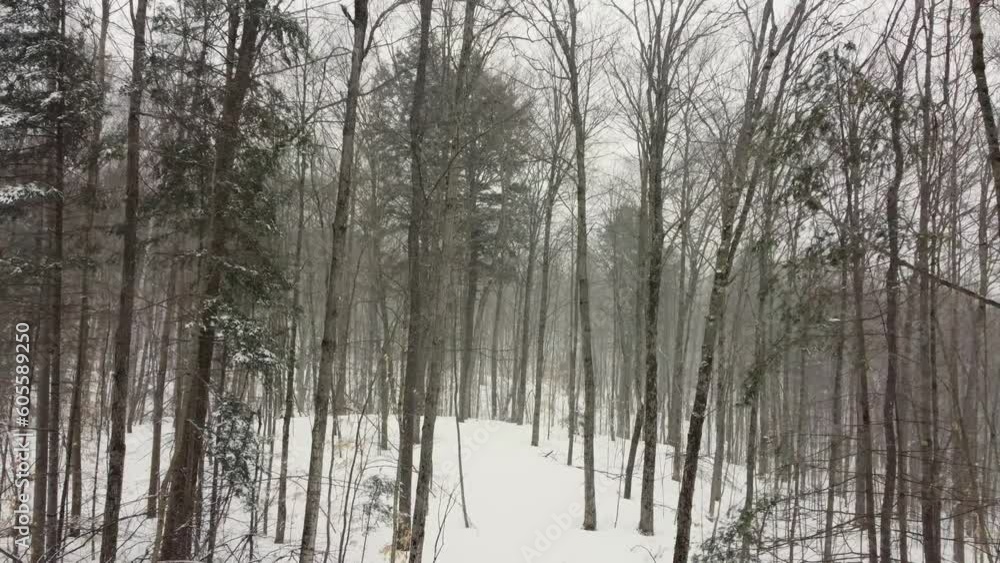 Snowflakes Falling In The Forest Of Huntsville In Muskoka Region, Canada. drone shot Snowflakes Falling In The Forest Of Huntsville In Muskoka Region, Canada. drone shot