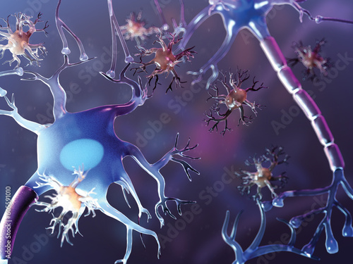 Neurons and microglia, illustration photo