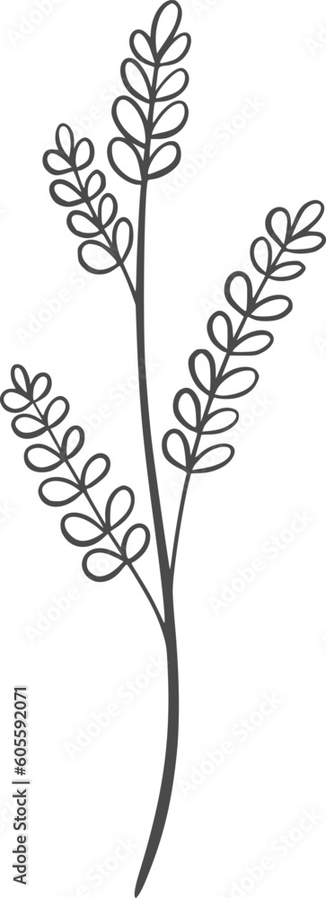 Wildplan line art, plant, nature, illustration, isolated, floral, botanical, design, wild, vector, flower, leaf, art, drawing, summer, clip art, graphic, set, natural, botany, collection, green Wildplan line art, plant, nature, illustration, isolated, floral, botanical, design, wild, vector, flower, leaf, art, drawing, summer, clip art, graphic, set, natural, botany, collection, green