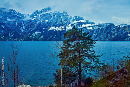 Winter season on Alpine Lake, Switzerland photo