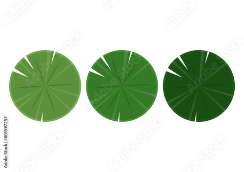 Lily pad icon. Lily cartoon vector on white background.