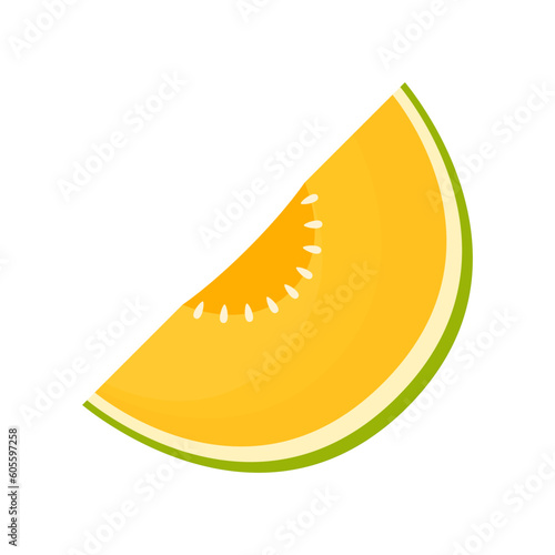 Melon vector. melon on white background. wallpaper. logo design. 