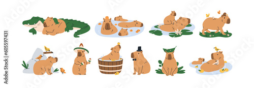 Cute capybaras set. Funny amusing capibara characters swimming in water, bathing, walking, relaxing, playing. Adorable nice animal. Childish flat vector illustrations isolated on white background photo