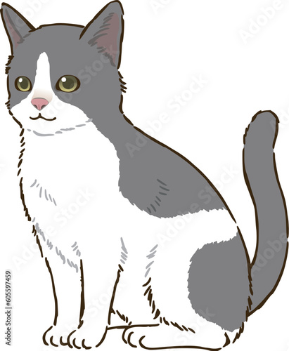 お座りする猫（バイカラー）