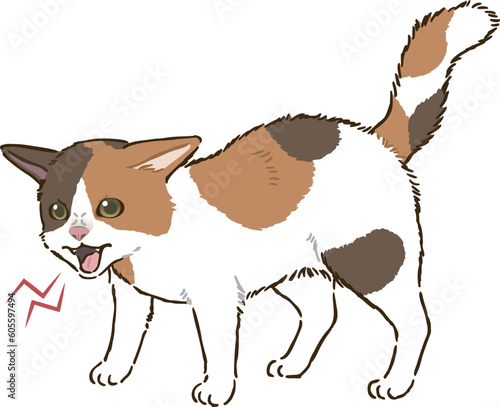 怒る猫（三毛猫）