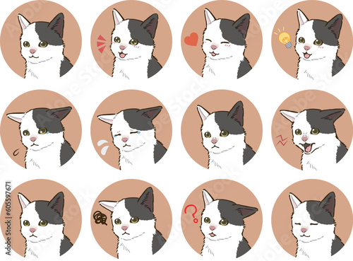 猫の表情アイコンセット（白黒ぶち模様）