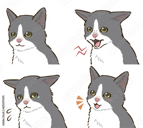 猫の喜怒哀楽セット（バイカラー）