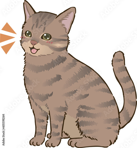 喜ぶ猫（キジトラ、短毛）