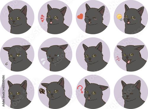 黒猫の表情アイコンセット（短毛）