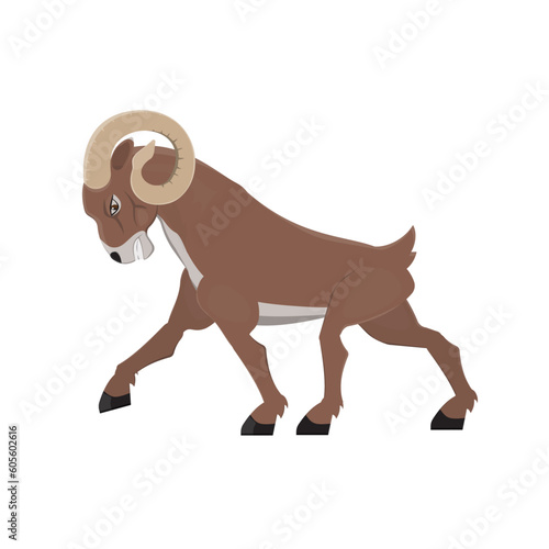 Horned ram. Mountain sheep animal, vector illustration