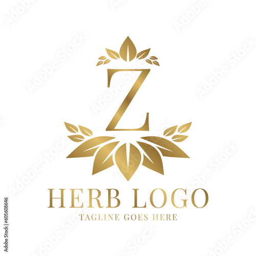 letter Z herbal leaves initial vector logo design