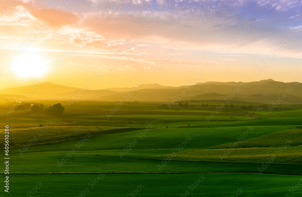 green field in countryside at sunset in the evening light. beautiful spring landscape in the mountains. grassy field and hills. rural scenery green field in countryside at sunset in the evening light. beautiful spring landscape in the mountains. grassy field and hills. rural scenery